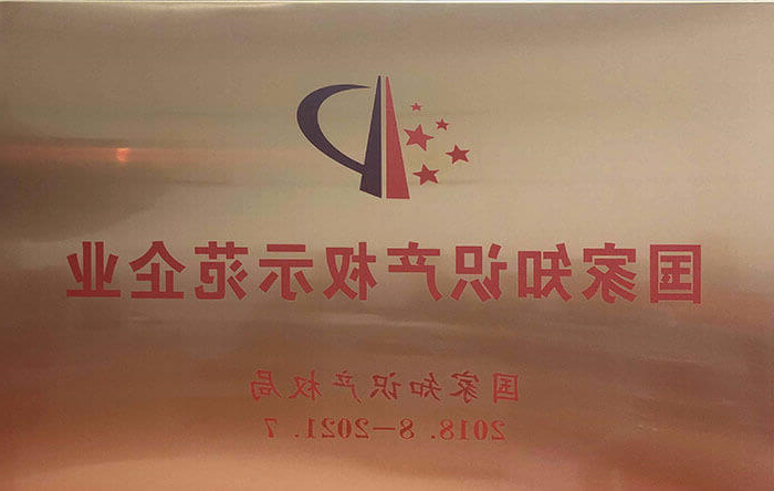 National Intellectual Property Model Enterprise